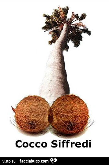 Cocco Siffredi by Esselunga