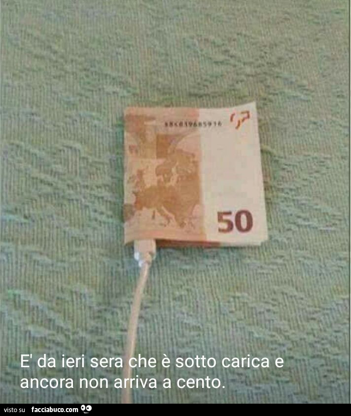 Vaccata