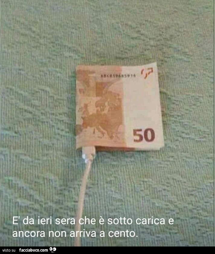 Vaccata