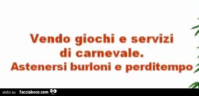 Vendo giochi e servizi di carnevale. Astenersi burloni e perditempo