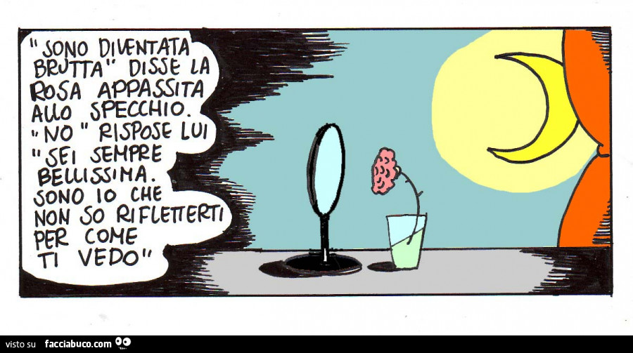 Sono diventata brutta disse la rosa appassita allo specchio. No rispose lui, sei sempre bellissima. Sono io che non so rifletterti per come ti vedo