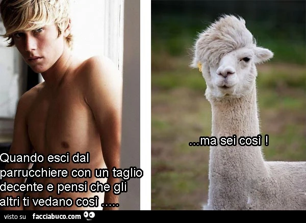 Quando esci dal parrucchiere con un taglio decente e pensi che gli altri ti vedano così&hellip; ma sei così