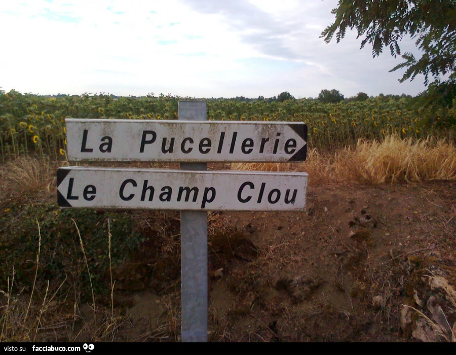 La Pucellerie. Le champ Clou
