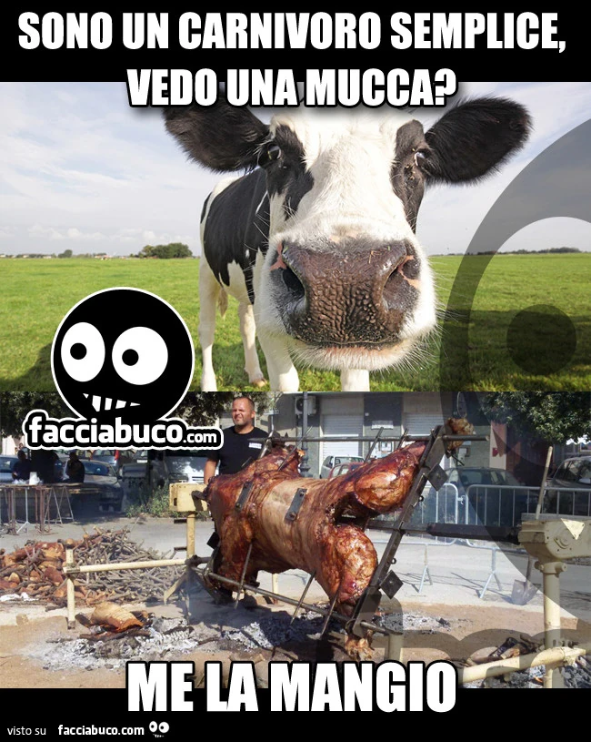 Sono un carnivoro semplice, vedo una mucca? Me la mangio