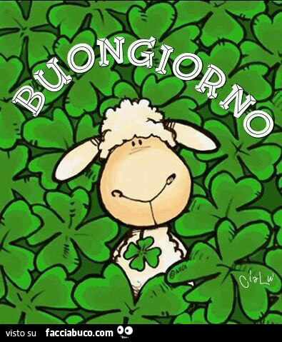 Pecora tra i quadrifogli. Buongiorno