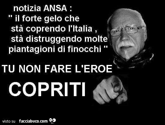 Notizia ansa. Il forte gelo che sta coprendo l'italia sta distruggendo molte piantagioni di finocchi. Tu non fare l'eroe, copriti