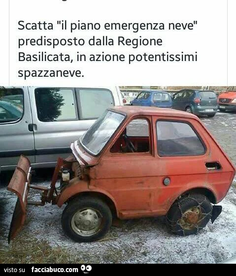 Vaccata