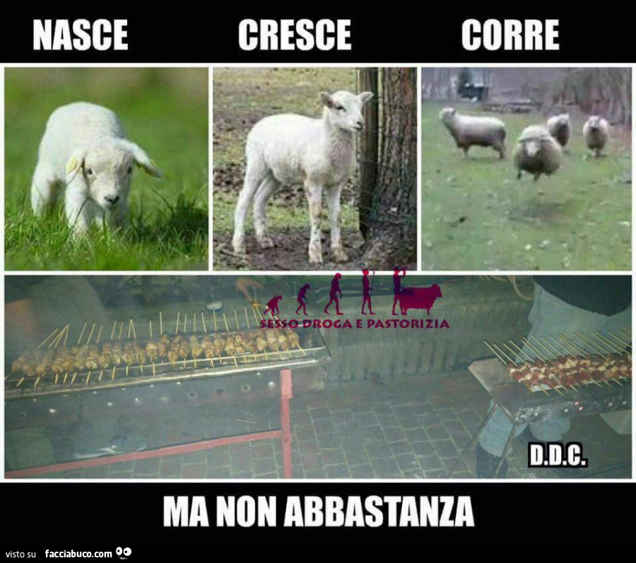 Nasce, cresce, corre, ma non abbastanza