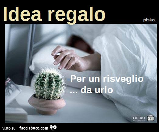 Idea regalo per un risveglio da urlo