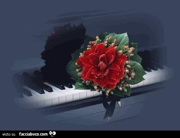 Fiore rosso sul pianoforte