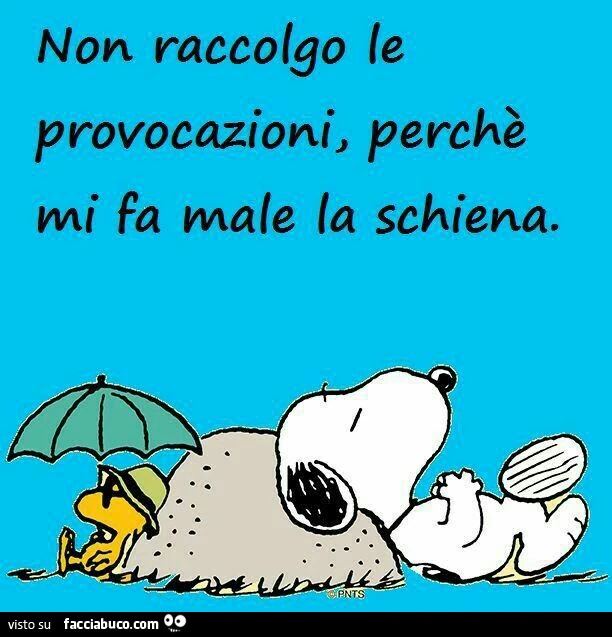 Non raccolgo le provocazioni, perchè mi fa male la schiena