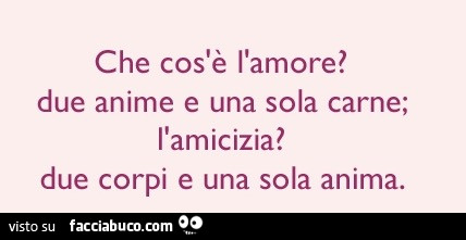 Che cos'è l'amore? Due anime e una sola carne. L'amicizia? Due corpi e una sola anima
