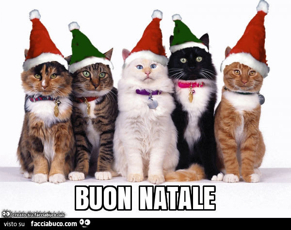 Buon natale