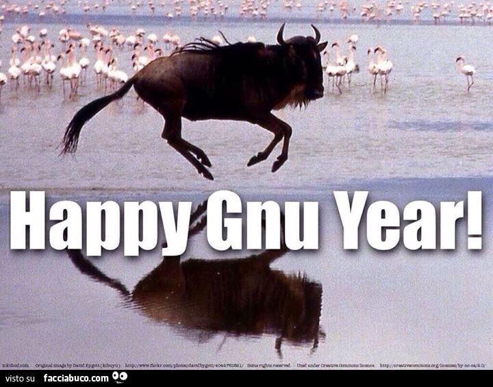 Happy Gnu Year