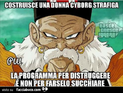 Costruisce una donna cyborg strafiga, la programma per distruggere e non per farselo succhiare
