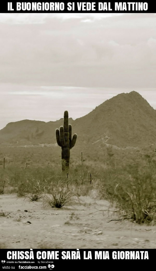 Il buongiorno si vede dal mattino chissà come sarà la mia giornata