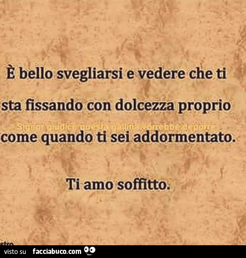 È bello svegliarsi e vedere che ti sta fissando con dolcezza proprio come quando ti sei addormentato. Ti amo soffitto