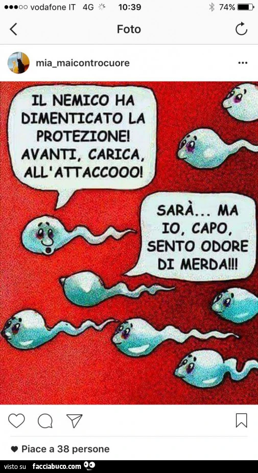 Vaccata