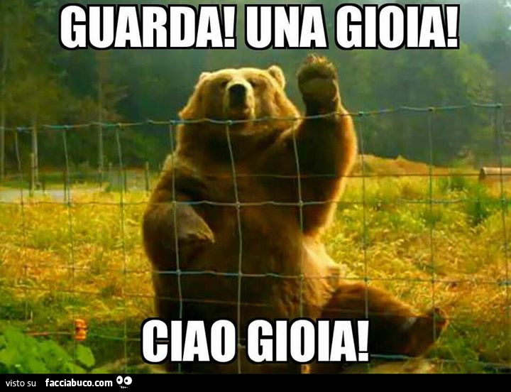 Guarda! Una gioia! Ciao gioia