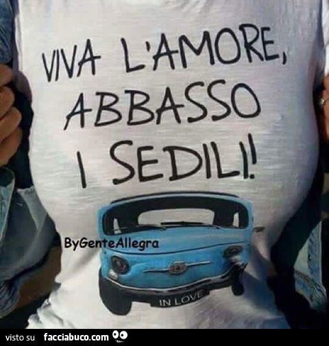 Viva l'amore, abbasso i sedili