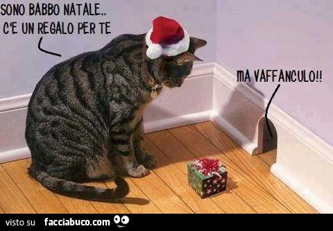 Sono Babbo Natale, c'è un regalo per te. Ma vaffanculo