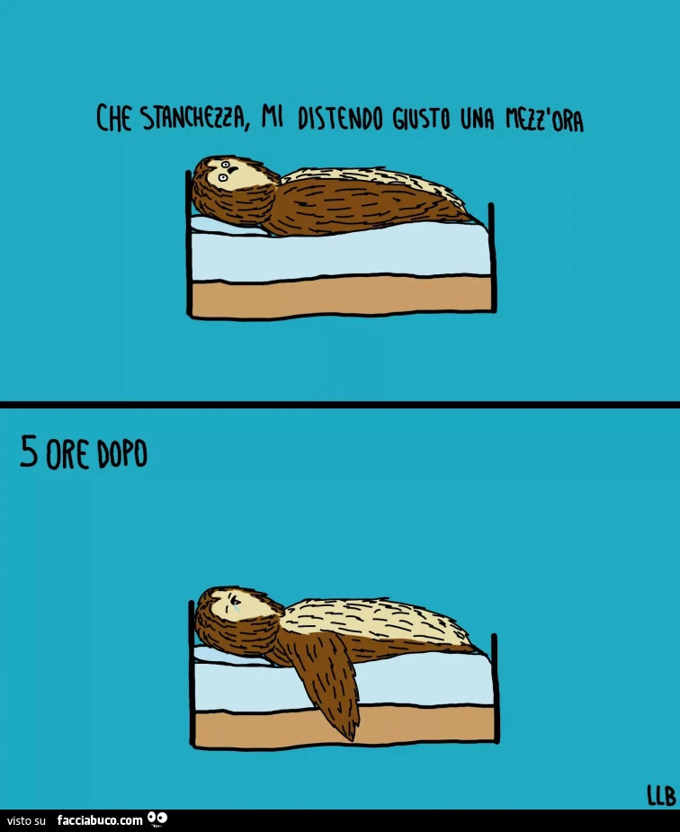 Che stanchezza, mi distendo giusto una mezz'ora&hellip; 5 ore dopo