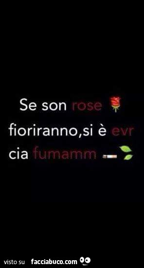 Se son rose fioriranno, si è evr cia fumamm