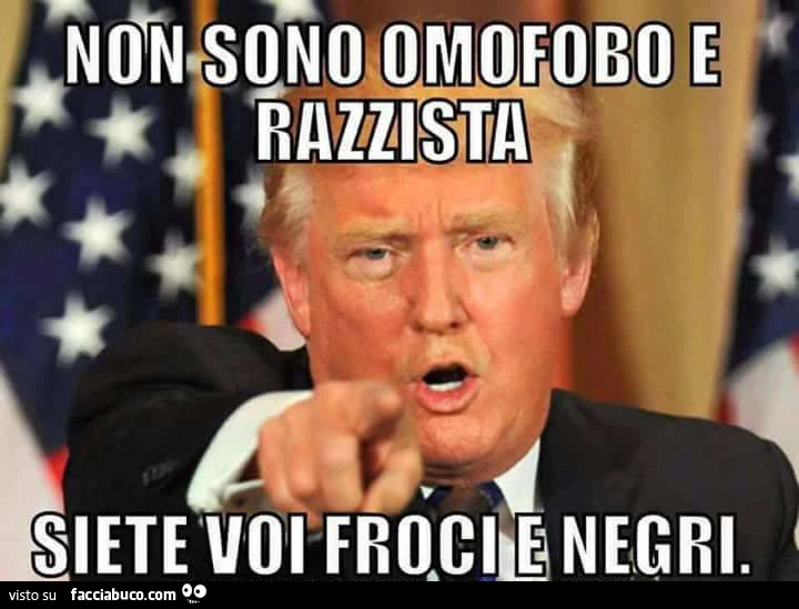 Non sono omofobo e razzista. Siete voi froci e negri