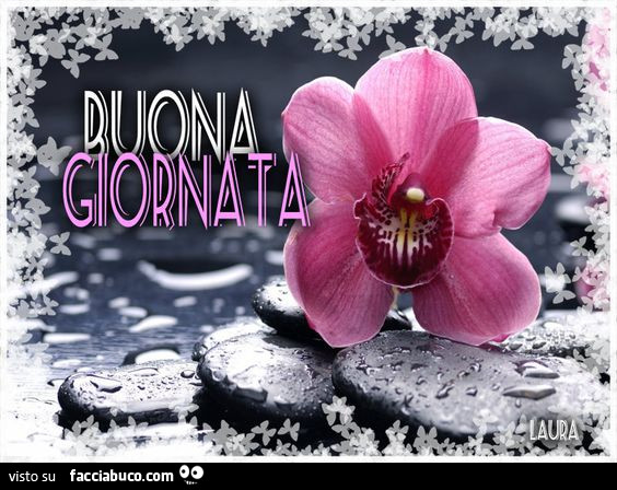 Fiore rosa. Buona giornata