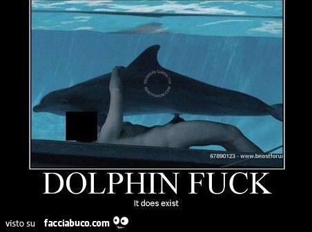 Accoppiamento sessuale tra uomo e delfino