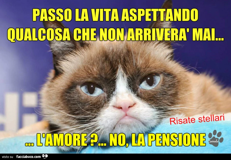 Passo la vita aspettando qualcosa che non arriverà mai&hellip; L'amore? No, la pesnsone