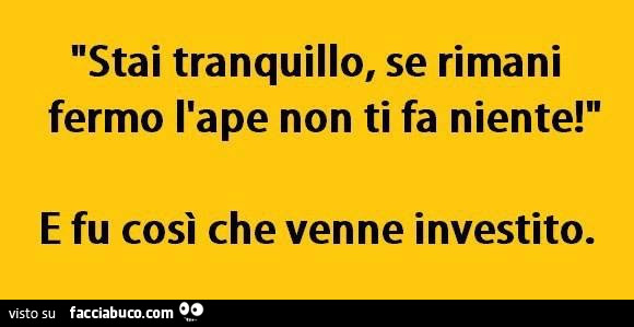 Stai tranquillo, se rimani fermo l'ape non ti fa niente! E fu così che venne investito
