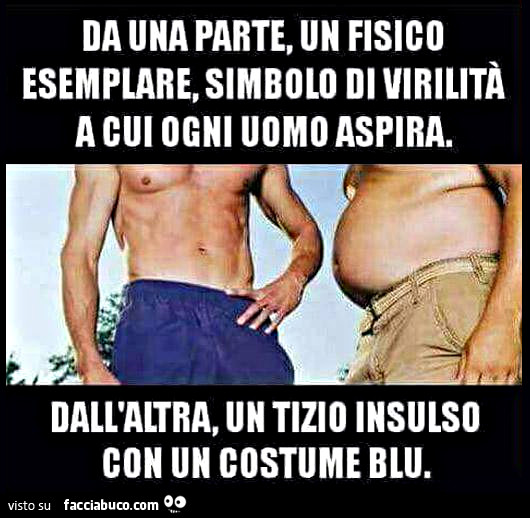 Da una parte, un fisico esemplare, simbolo di virilità a cui ogni uomo aspira. Dall'altra, un tizio insulso con un costume blu