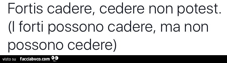 Fortis cadere, cedere non potest. I forti possono cadere, ma non possono cedere