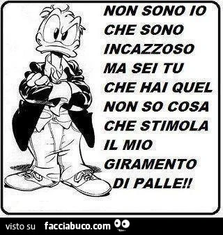 Non sono io che sono incazzoso ma sei tu che hai quel non so cosa che stimola il mio giramento di palle