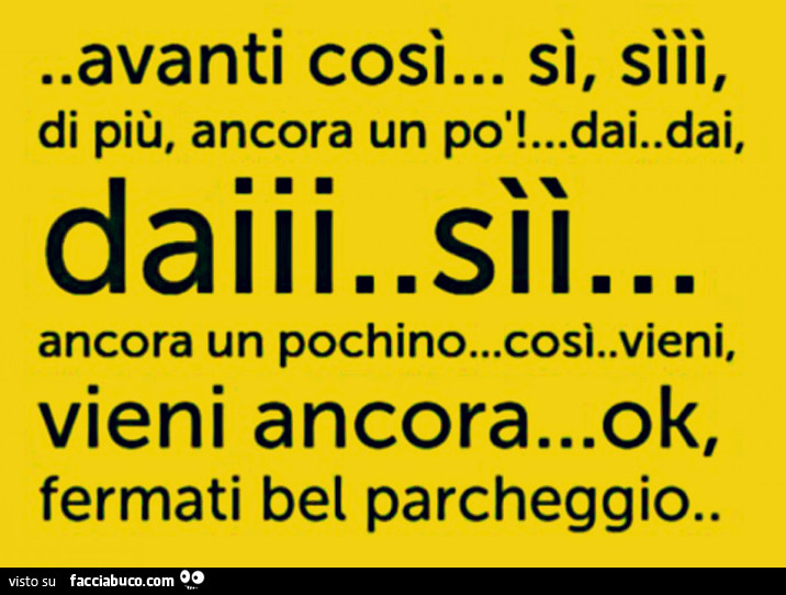 Avanti così. Sì, sììì, di più, ancora un po' Dai Dai daiii sìì ancora un pochino così vieni, vieni ancora! Ok fermati, bel parcheggio