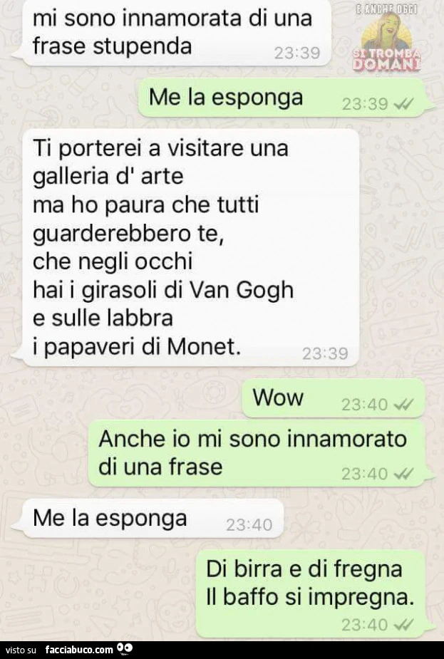 Mi sono innamorata di una frase stupenda. Me la esponga. Di birra e di fregna il baffo si impregna
