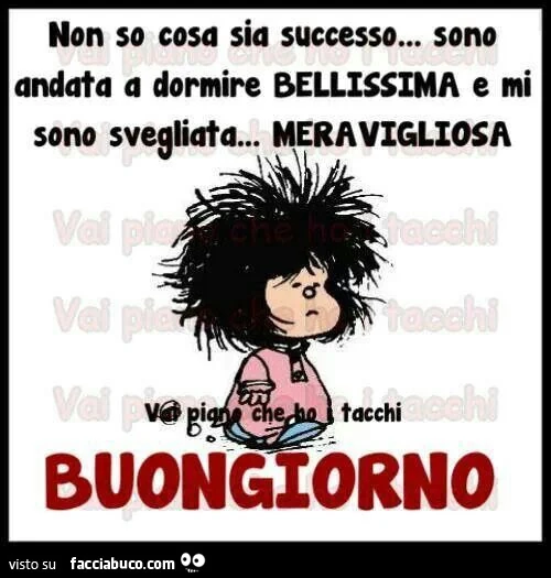 Vaccata