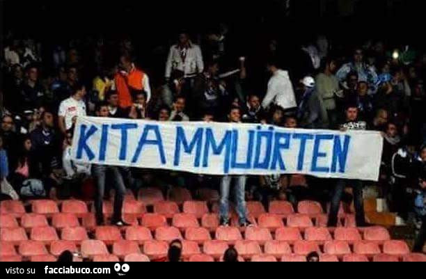 Kitammuorten