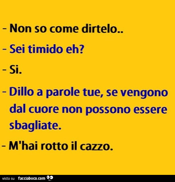 Non so come dirtelo. Sei timido eh? Si. Dillo a parole tue, se vengono dal cuore non possono essere sbagliate. M'hai rotto il cazzo