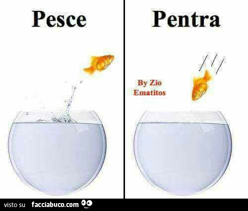 Pesce. Pentra