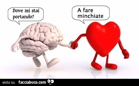 Dove mi stai portando? A fare minchiate