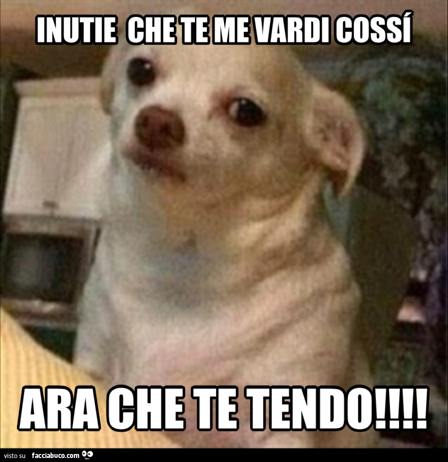 Inutie che te me vardi cossì. Ara che te tendo