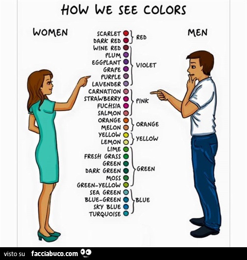 Come noi vediamo i colori. Donne. Uomini