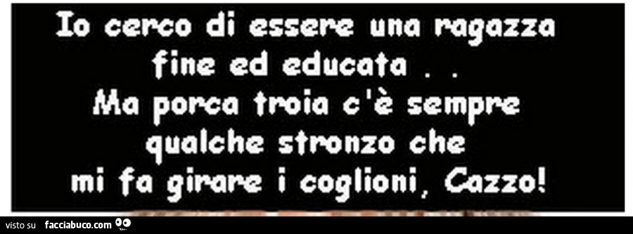 Io cerco di essere una ragazza fine ed educata. Ma porca troia c'è sempre qualche stronzo che mi fa girare i coglioni, cazzo