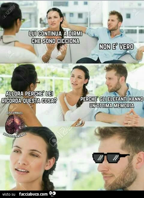 Lui continua a dirmì che sono cicciona. Non è vero. Allora perchè lei ricorda questa cosa? Perchè gli elefanti hanno un'ottima memoria