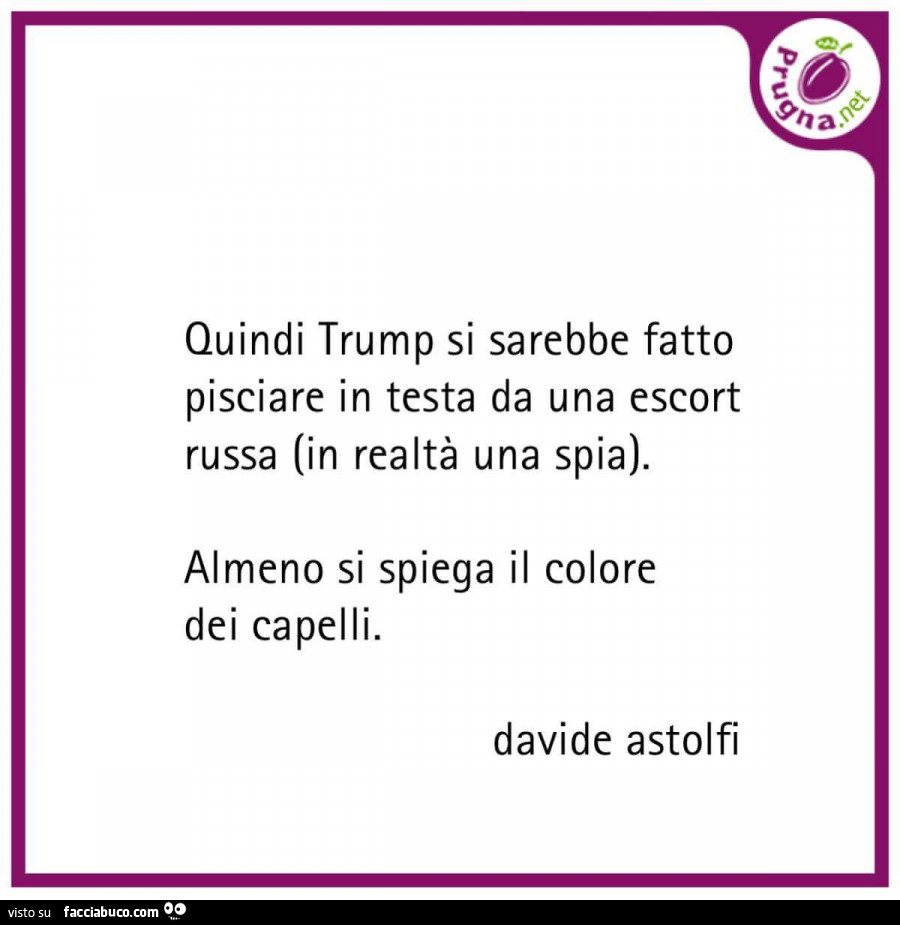 Quindi Trump si sarebbe fatto pisciare in testa da una escort russa (in realtà una spia). Almeno si spiega il colore dei capelli