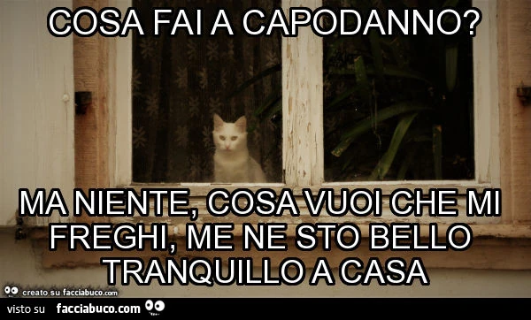 Cosa fai a capodanno? Ma niente, cosa vuoi che mi freghi, me ne sto bello tranquillo a casa