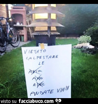 Vaccata