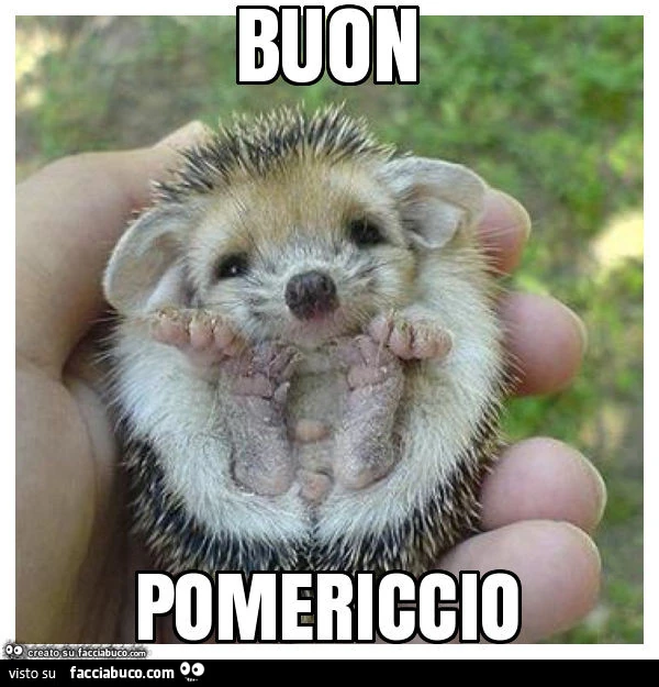 Buon pomericcio
